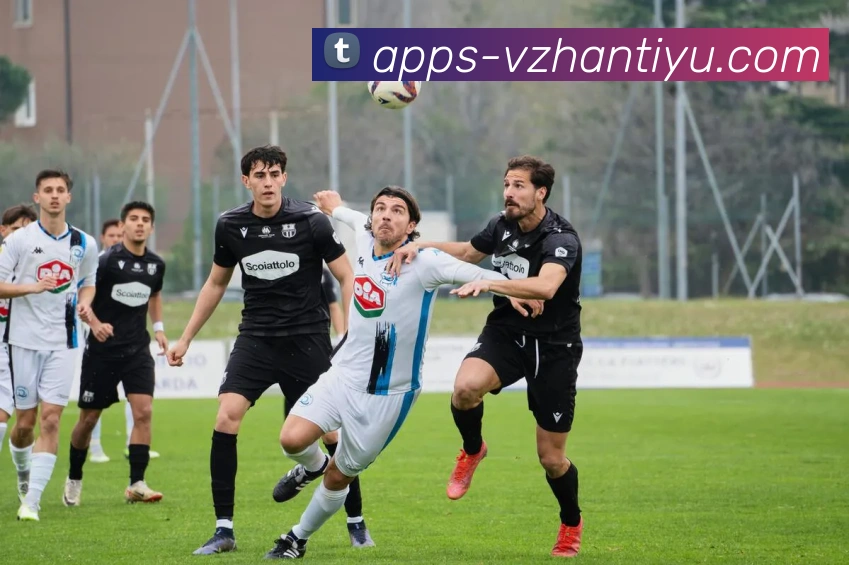 App Interface Preview