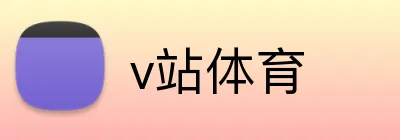 v站体育 logo